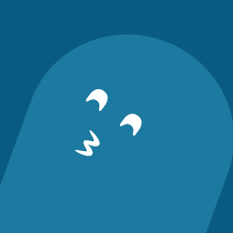 User profile